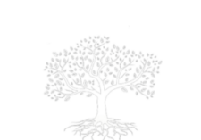 Davis Genealogy Club